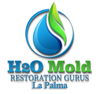 water damage restoration la palma