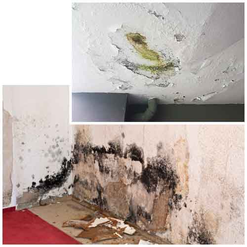 water damage restoration tustin ca