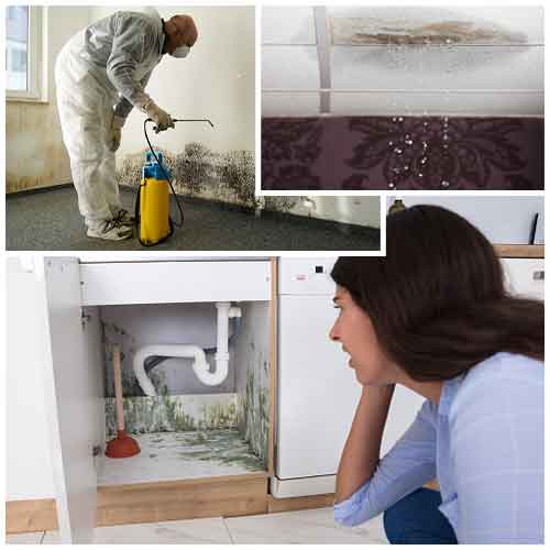 water damage restoration tustin ca